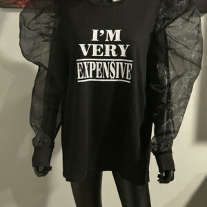 Black Mesh Sleeve Top - I'M Very Expensive (Selections)