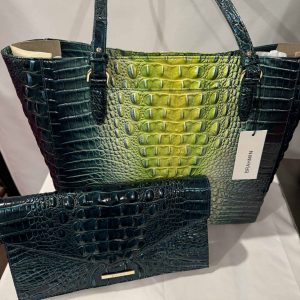 New - Brahmin Zesty Green Ombre Tote (Add the Matching Wallet)