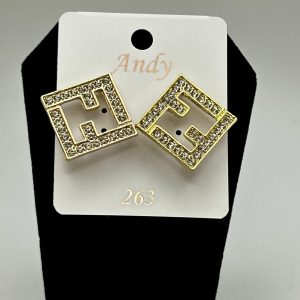 Fashion Earrings