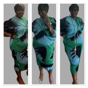 Bungee & Stretchy Wrinkle Free Pleated Dress (Selections) (O/S)