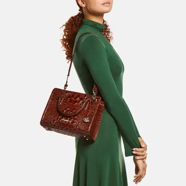 New - Brahmin Cami Brindle Potomac Satchel - Image 2