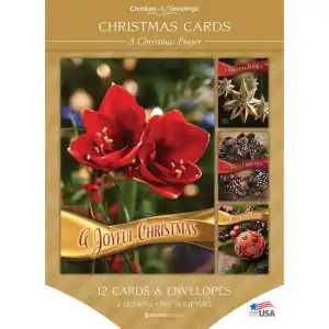 New - Christmas Box Cards (12)