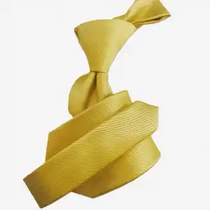 New - Designer Gold Tie w/ hanky