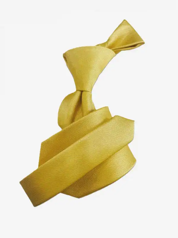 New - Designer Gold Tie w/ hanky